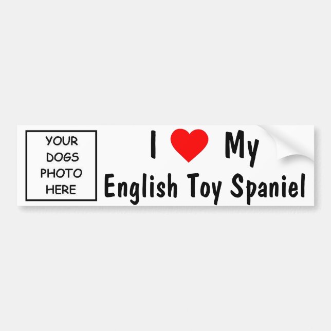 English Toy Spaniel Bumper Sticker (Front)