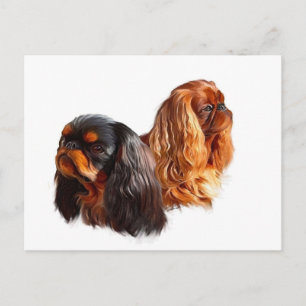 English Toy Spaniel Postcard