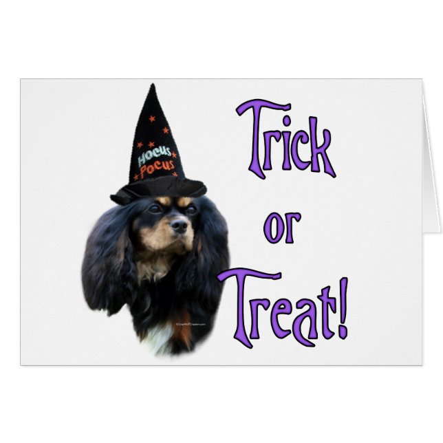 English Toy Spaniel Trick (Front Horizontal)