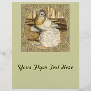 English Trumpeter Pigeon Gold Frame Flyer