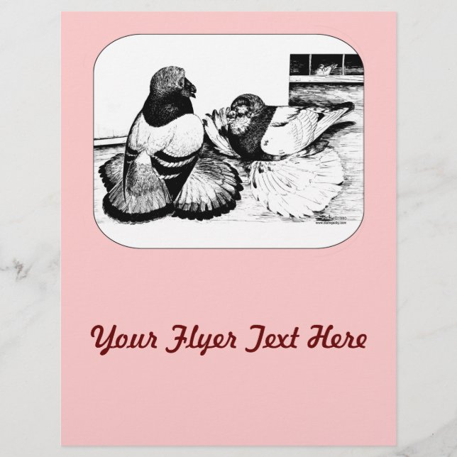 English Trumpeter Pigeons Flyer (Front)