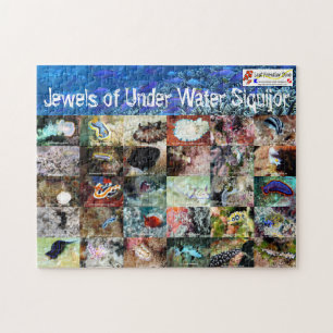 English version: Jewels of Under Water Siquijor Jigsaw Puzzle