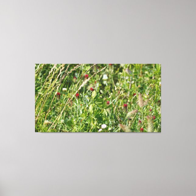 English Wildflower Meadow Canvas Print (Front)