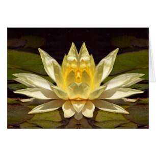 Enhanced Lotus1 Card