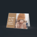 ENJOY THE LAST FEW TEEN YEARS **17th** BIRTHDAY Card<br><div class="desc">I HOPE YOU LIKE GNOMES LIKE I DO!!! THIS ONE SURE HOPES YOUR FRIEND OR FAMILY MEMBER HAS A HAPPY "17th" BIRTHDAY!!!! THANKS FOR STOPPING BY 1 OF MY 8 STORES!!!!</div>