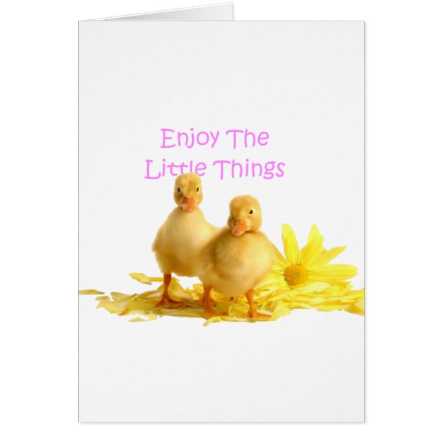 Enjoy The Little Things, Ducklings (Front)