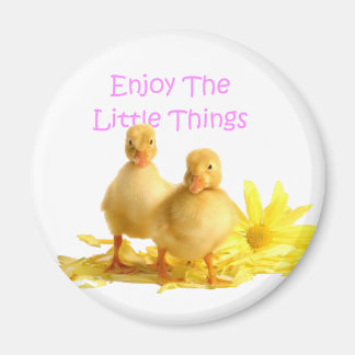 Enjoy The Little Things, Ducklings Magnet