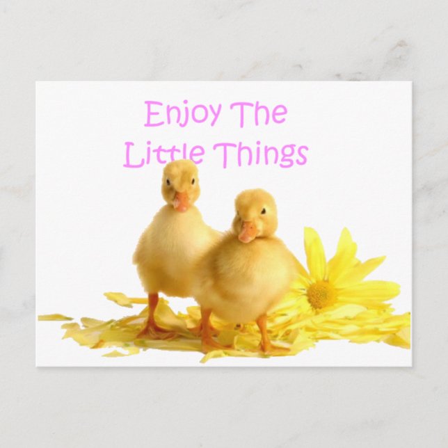 Enjoy The Little Things, Ducklings Postcard (Front)