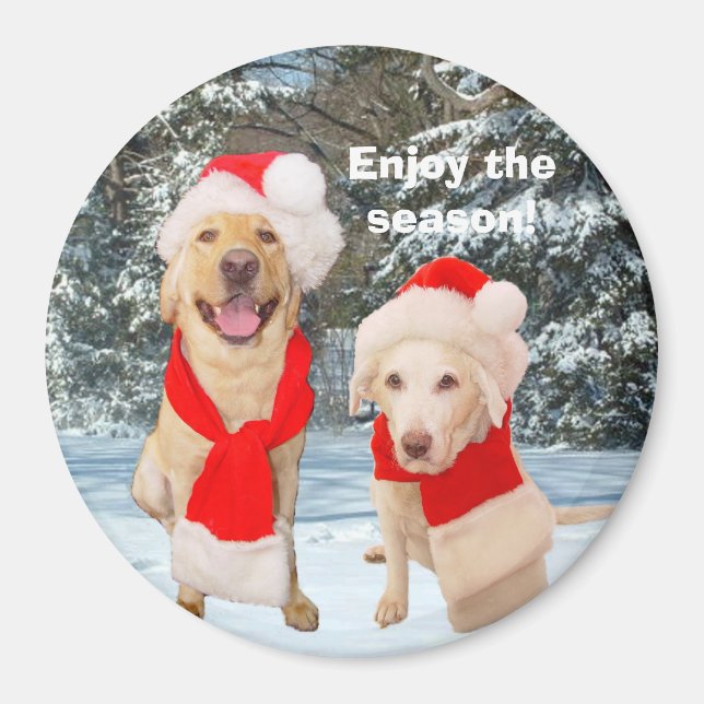 Enjoy the season! magnet (Front)