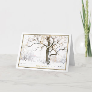 Enjoy the Simple Pleasures of the Season: Holiday