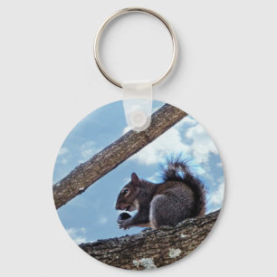 Enjoying a Nut Key Ring
