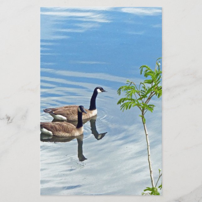 Enjoying a Swim Stationery (Front)