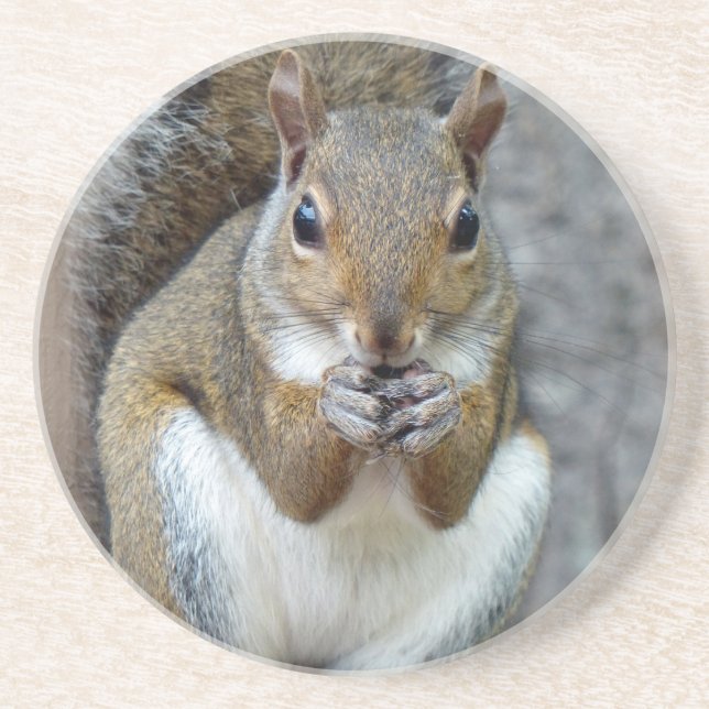 Enjoying a Treat Coaster (Front)