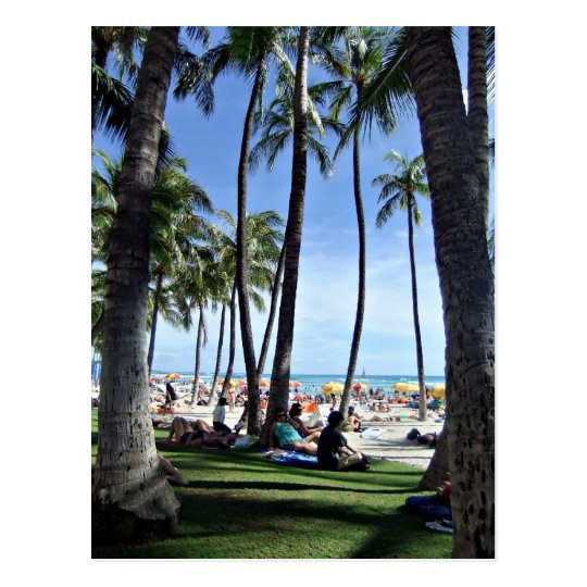 Enjoying Waikiki Beach Postcard
