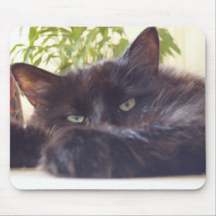 Enjoying your mouse mat