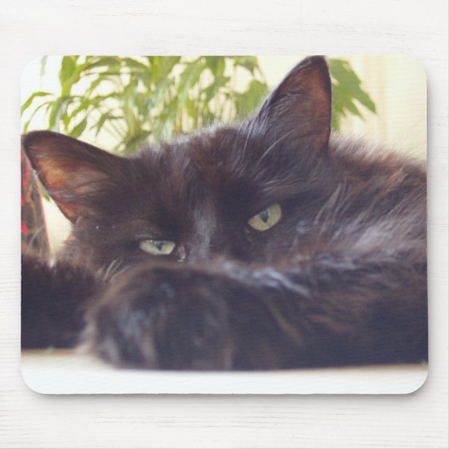 Enjoying your mouse mouse mat (Front)