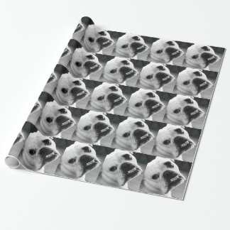 Enlgish Bulldog Stationary Gift Wrap