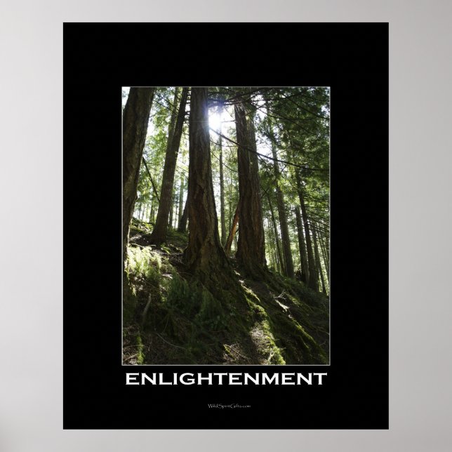 ENLIGHTENMENT Forest Motivational Photo Poster (Front)