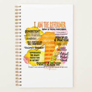 Enneagram Type 1 - I Am The Reformer Planner