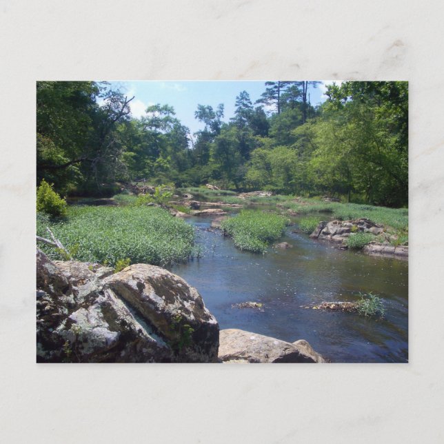 Eno River, North Carolina Postcard (Front)