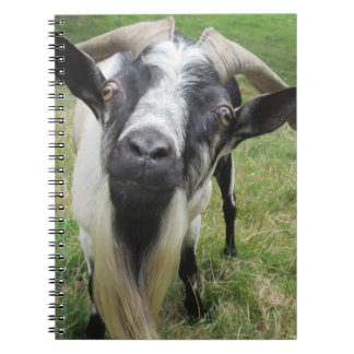 Enquiring Minds Notebook