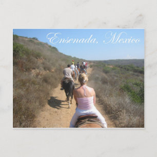 Ensenada, Mexico 2 Postcard