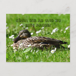Ente auf einer Wiese Postkarte Postcard