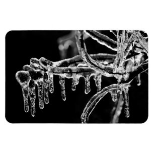 enter icy winter magnet