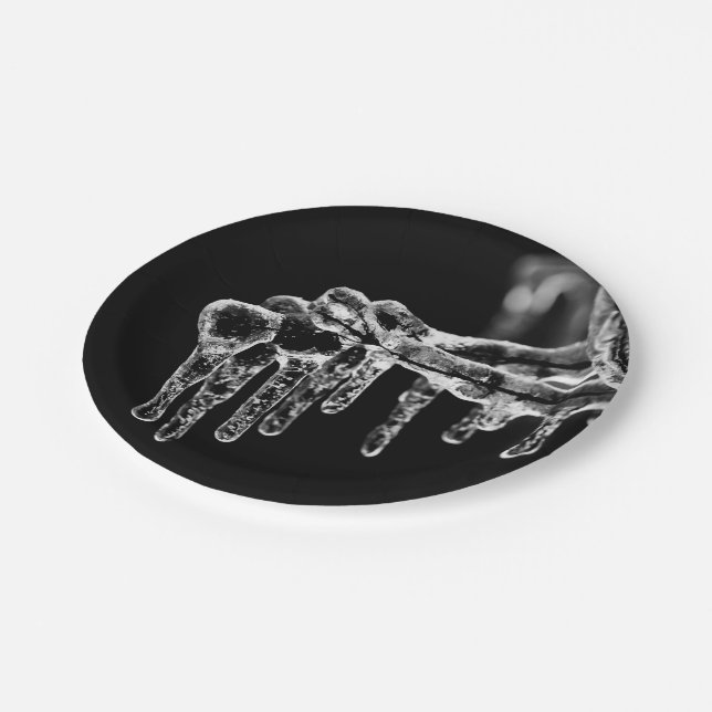 enter icy winter paper plate (Angled)