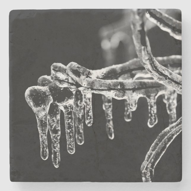 enter icy winter stone coaster (Front)