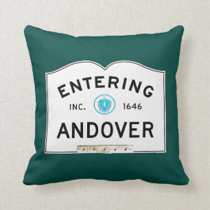 Entering Andover Cushion