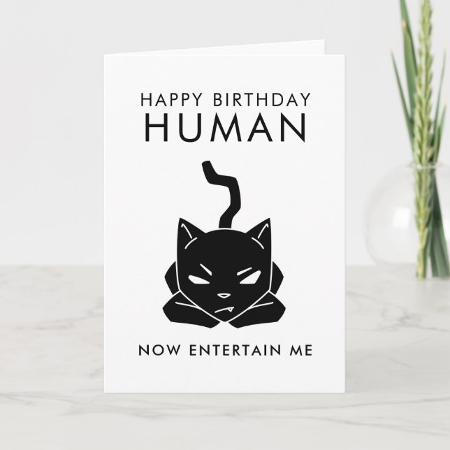 Entertain Me Funny Cat Birthday Card (Front)