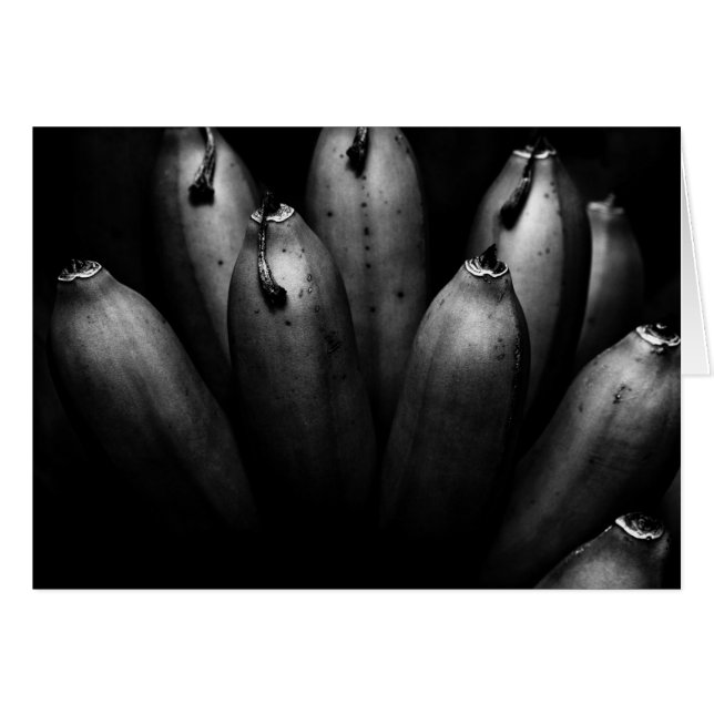 entertaining bunch (Front Horizontal)