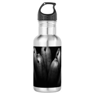 entertaining bunch 532 ml water bottle