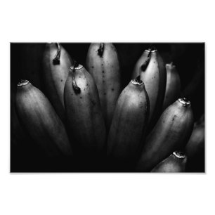 entertaining bunch photo print