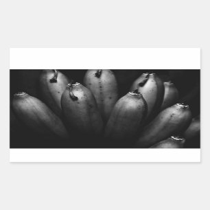 entertaining bunch rectangular sticker