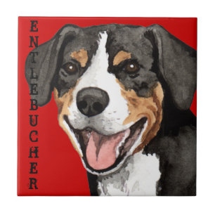 Entlebucher Colour Block Tile