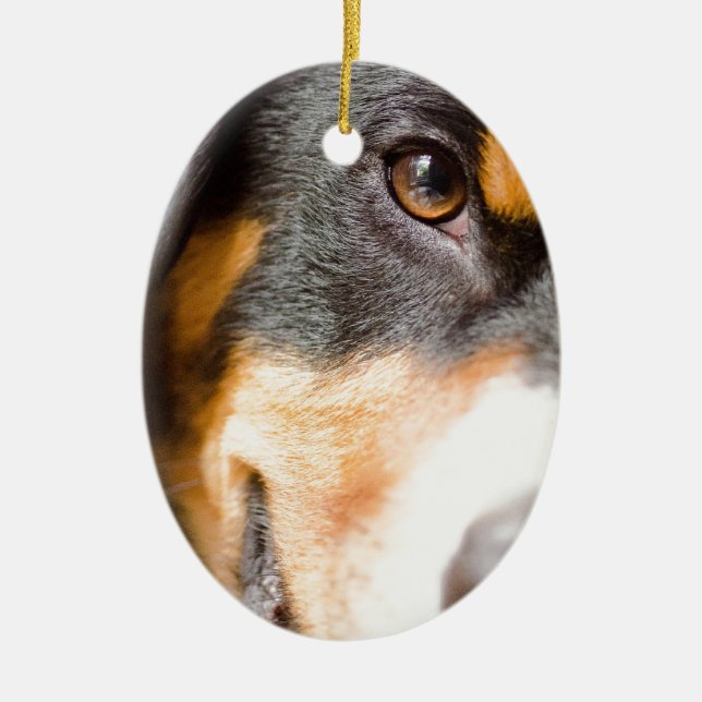 Entlebucher - I've got My Eyes on You! Ceramic Tree Decoration (Front)