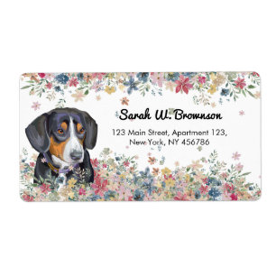Entlebucher Mountain Dog Puppy