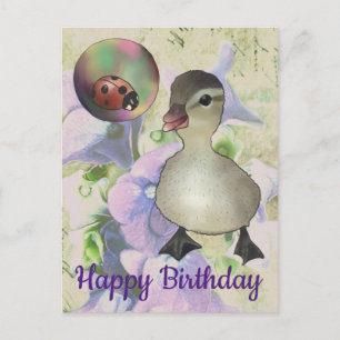 Entlein mit Seifenblase Postcard