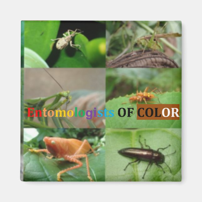 Entomologists of Color Magnets (Front)