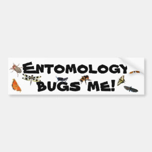Entomology Bugs Me Pun Bumper Sticker