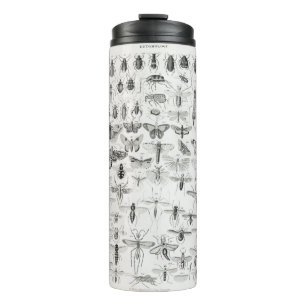 Entomology from A history of the earth and animate Thermal Tumbler