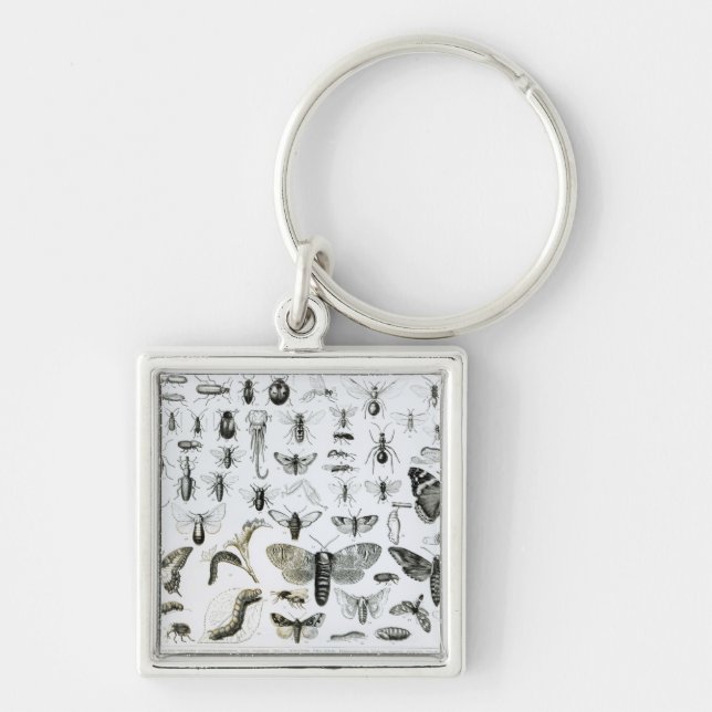 Entomology Key Ring (Front)