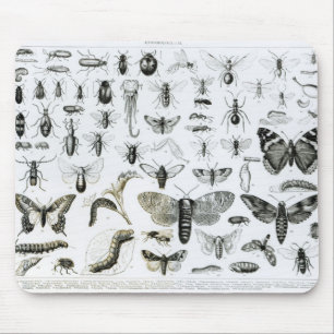 Entomology Mouse Mat