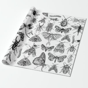 Entomology Paper Bugs Insects Gift Wrap    