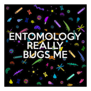 ENTOMOLOGY REALLY BUGS ME Science Joke Poster