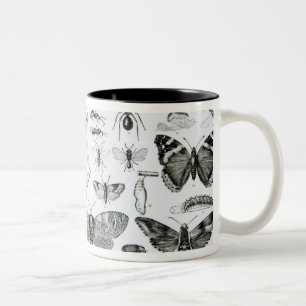 Entomology Two-Tone Coffee Mug
