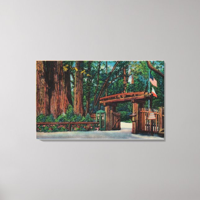 Entrance to Big Trees Park, Santa Cruz County Canvas Print (Front)