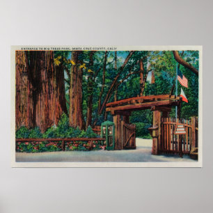 Entrance to Big Trees Park, Santa Cruz County Poster